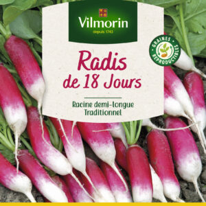 Radis de 18 Jours - Grand Modèle