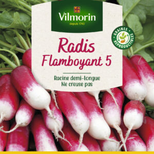 Radis Flamboyant 5 - Grand Modèle