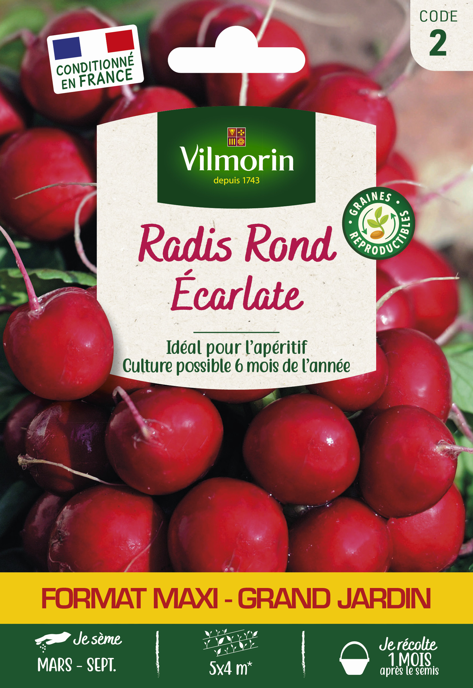 Radis Rond Ecarlate - Grand Modèle