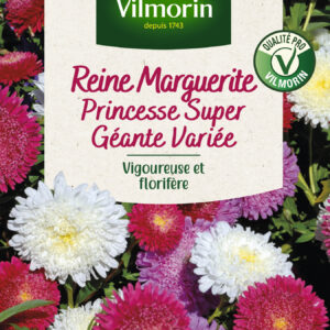 Reine-Marguerite Princesse Super Géante Variée