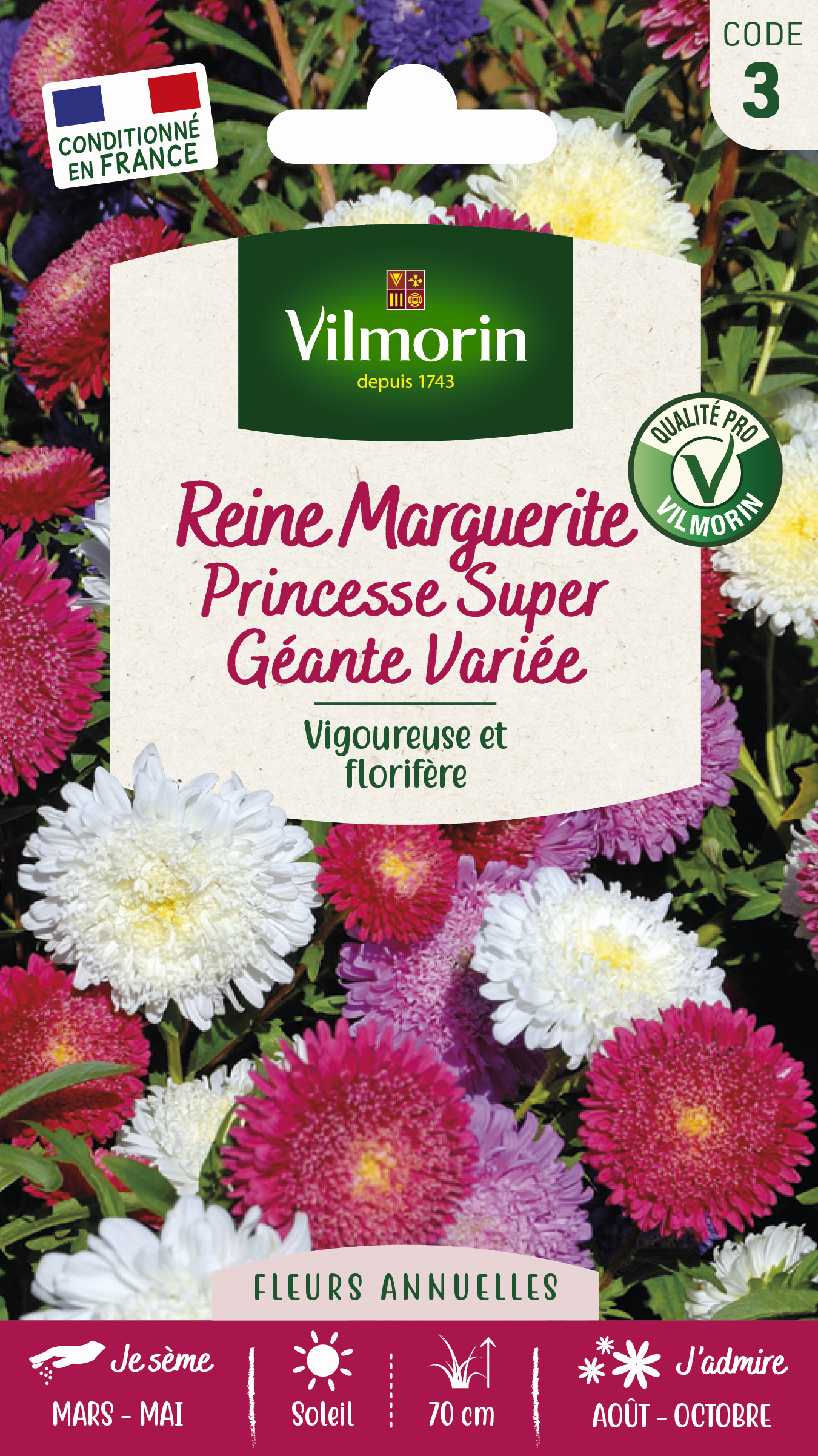Reine-Marguerite Princesse Super Géante Variée