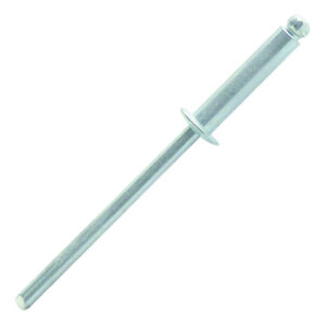 Rivet standard acier tête plate 3 x 6 mm boîte de 500 SCELL-IT SD3006