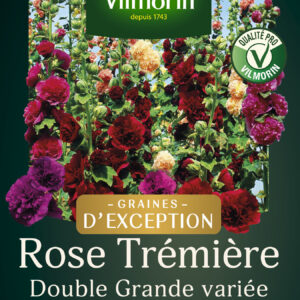 Rose Trémière Double Grande Variée - Graines d'Exception