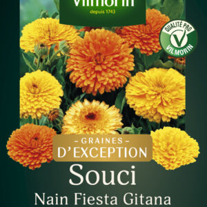 Souci Nain Fiesta Gitana - Graines d'Exception