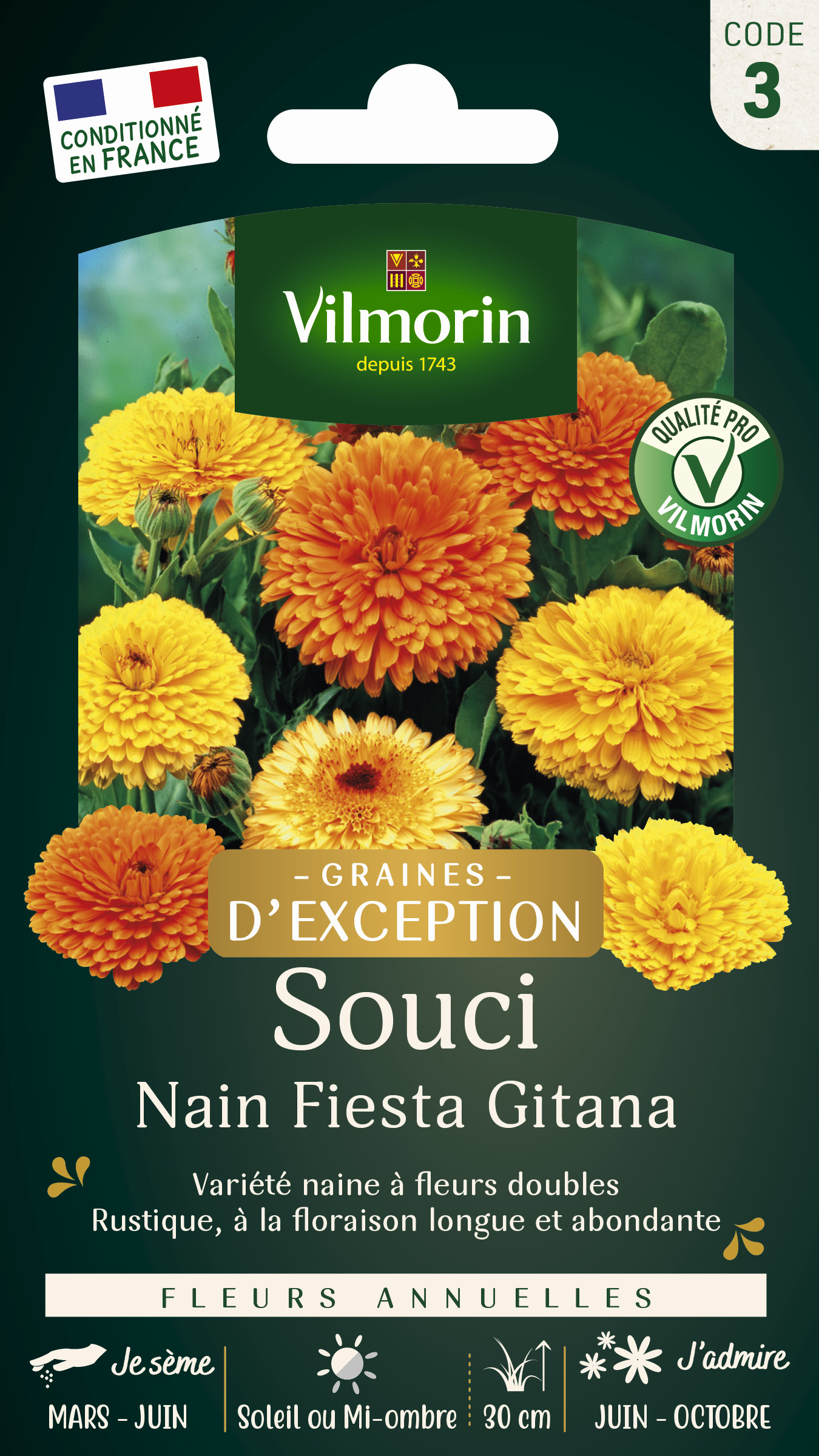 Souci Nain Fiesta Gitana - Graines d'Exception