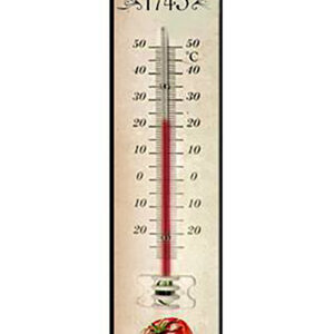 Thermomètre - Petit Modèle