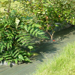 Toile de Paillage Tissée - 130 g/m² - 1.05 m x 100 m - Vert