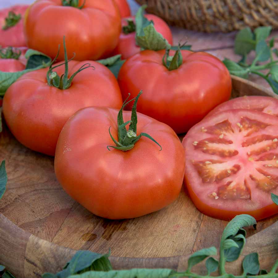 Tomate Buffalo Steak F1 - Graines d'Exception