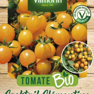 Tomate Cocktail Clémentine - BIO