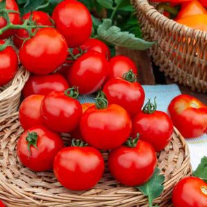 Tomate Fournaise F1 - Graines d'Exception