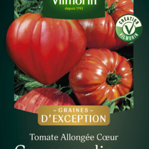 Tomate Gourmandia HF1 - Graines d'Exception