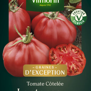 Tomate Lanterna F1 - Graines d'Exception