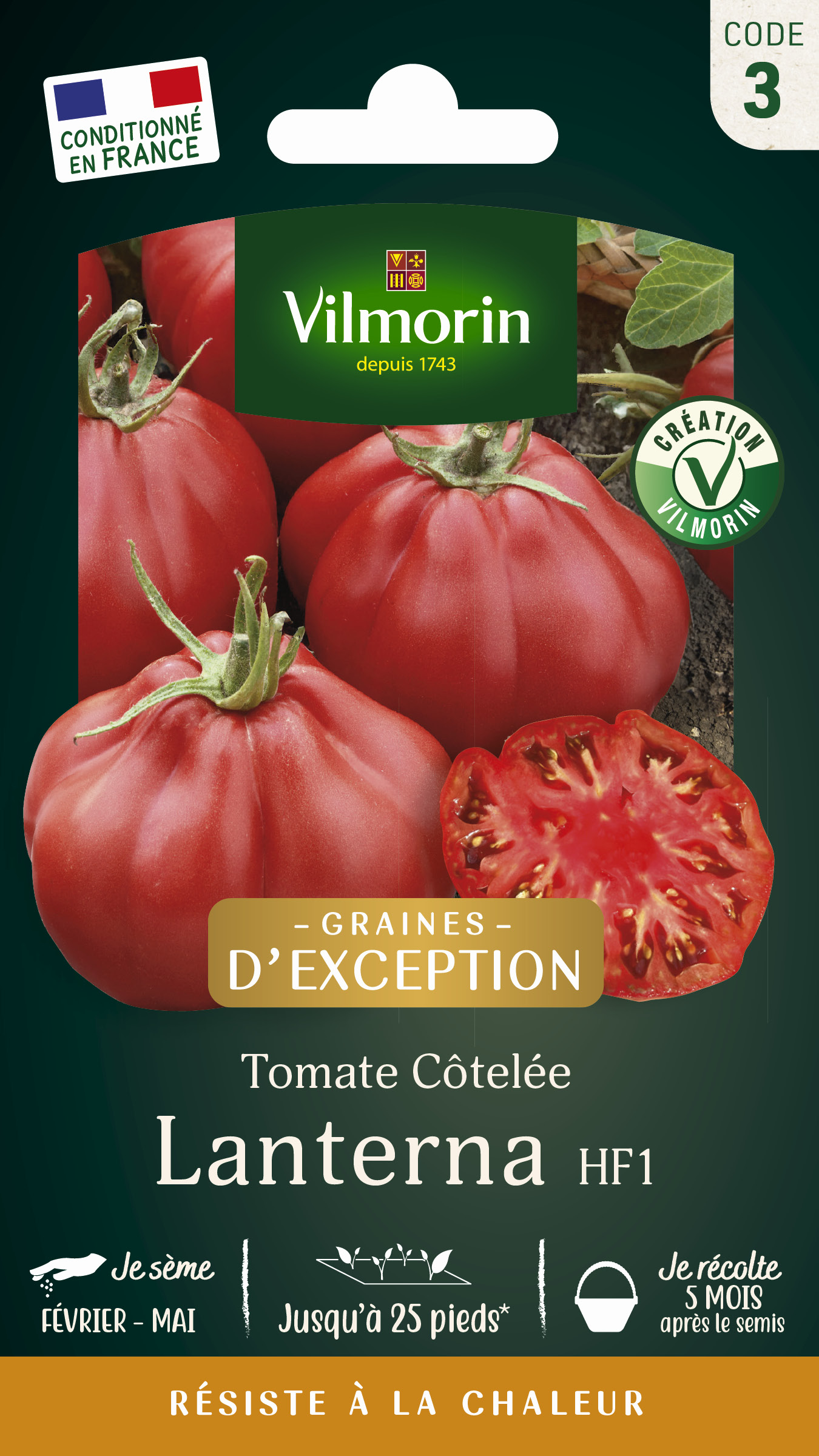 Tomate Lanterna F1 - Graines d'Exception