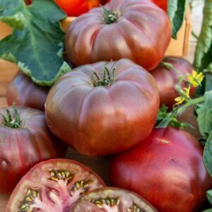 Tomate Noire de Crimée - Légumes d'Autrefois
