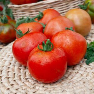 Tomate Pépite F1 - Graines d'Exception