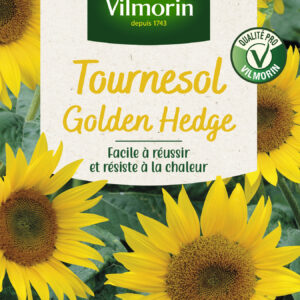 Tournesol Golden Hedge