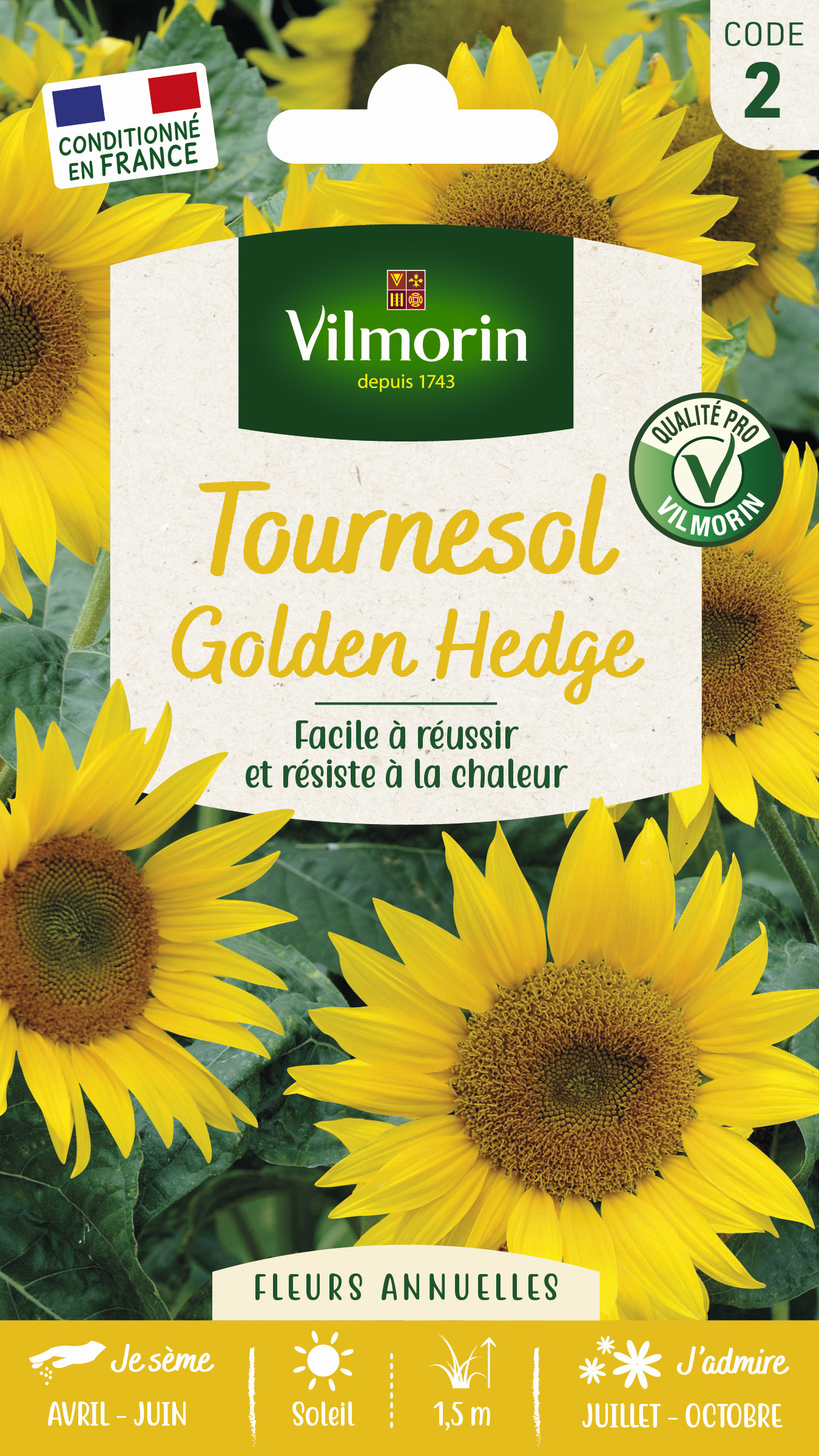 Tournesol Golden Hedge