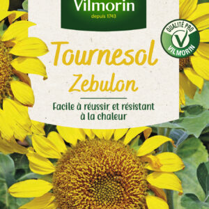 Tournesol Zebulon Pollen Free