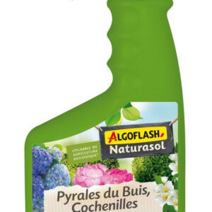 Traitement Pyrales du buis cochenilles