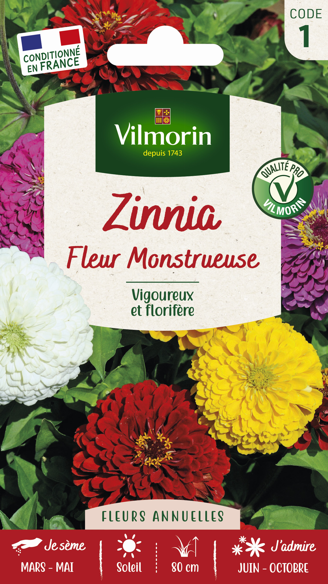 Zinnia à Fleur Monstrueuse