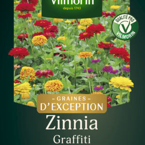 Zinnia Graffiti - Graines d'Exception