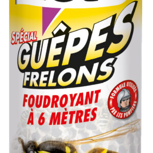 Aérosol spécial guêpes - frelons portée 6 m - 500 ml ACTO INSECTICIDES GUEP.1