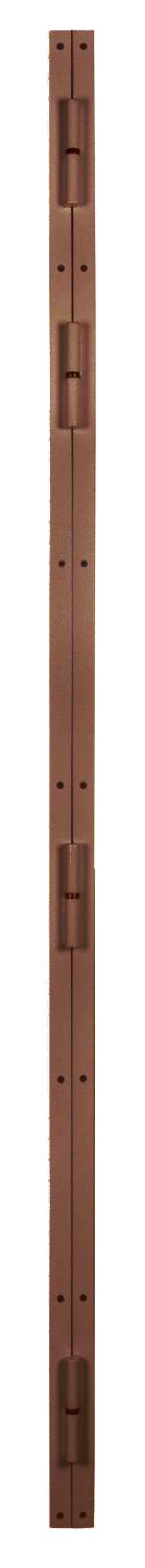 Barre de pivot standard fer plat 2500 x 30 x 5 mm gauche époxy marron HERACLES BLI-BPI20008
