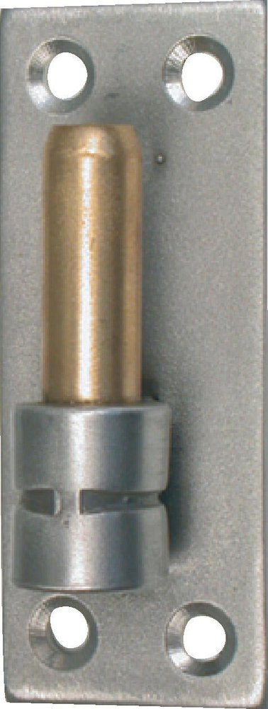 Gond Sur Platine Inox Brossé, Dia. 16 X Ht.180 Mm