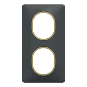 Plaque double verticale Ovalis SCHNEIDER ELECTRIC, anthracite bague effet laiton