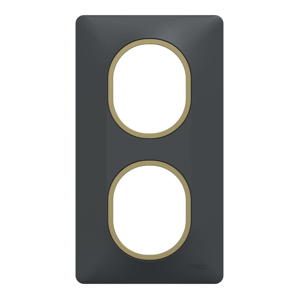 Plaque double verticale Ovalis SCHNEIDER ELECTRIC, anthracite bague effet laiton